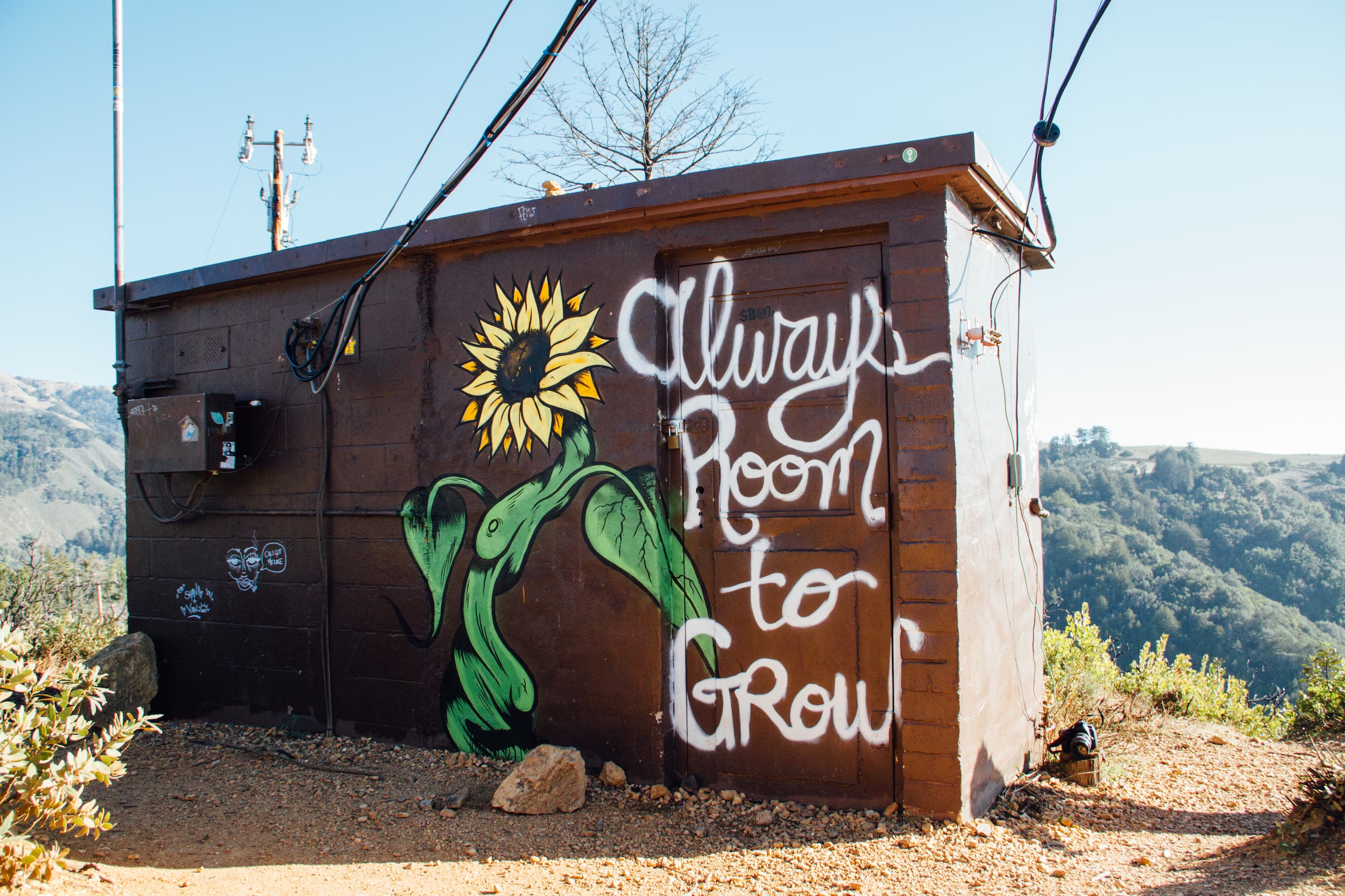 Figure 1: Photo by Kyle Glenn on Unsplash