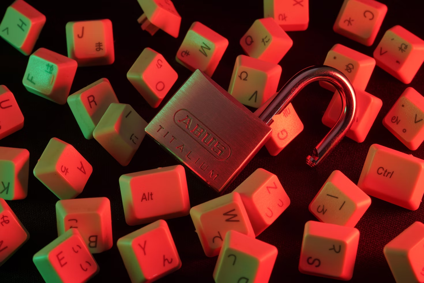 Figure 1: Photo by FLY:D on Unsplash